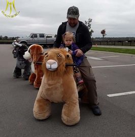 Hansel Zippy Animal Rides Coin Operated Zoo Animal Scooter Animal Rides fournisseur